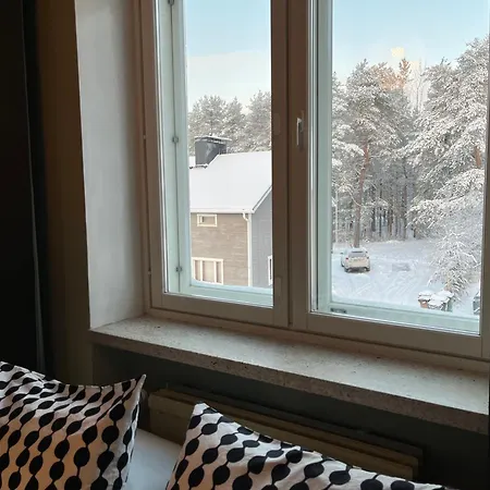 公寓 Arctic Bloom Retreat: 2br W/ Parking 罗瓦涅米